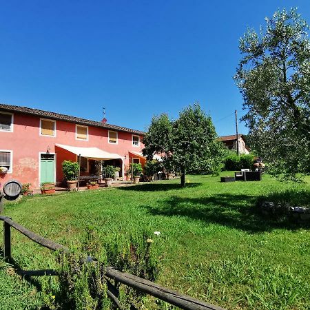 Agriturismo Al Podere Di Rosa Lucca Luaran gambar