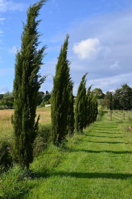 Agriturismo Al Podere Di Rosa Lucca Luaran gambar