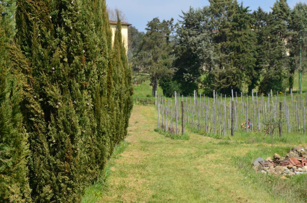 Agriturismo Al Podere Di Rosa Lucca Luaran gambar